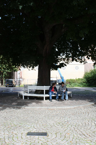Monumentale bomem - Den Haag
