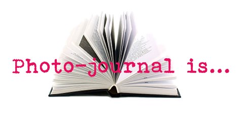 What's a photojournal?