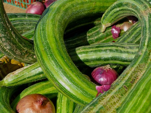Armenian cucumber also known as  "snake cucumber" or "snake melon"