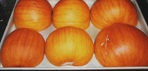 Pumpkin Roasted