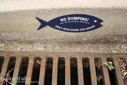 251-no dumping
