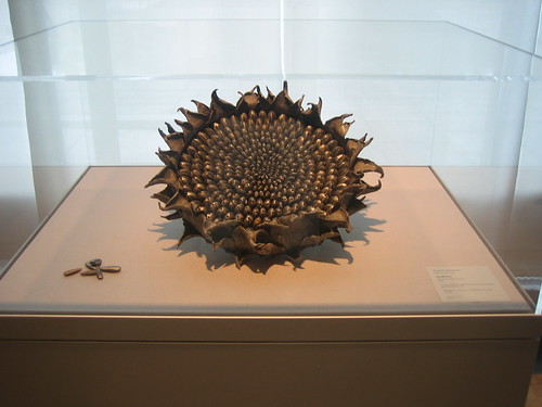 Sunflower, 2005, Sugiura Yasuyoshi _7752