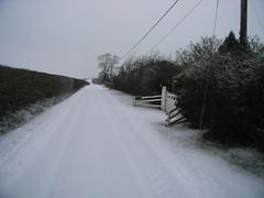 buckland-in-the-snow