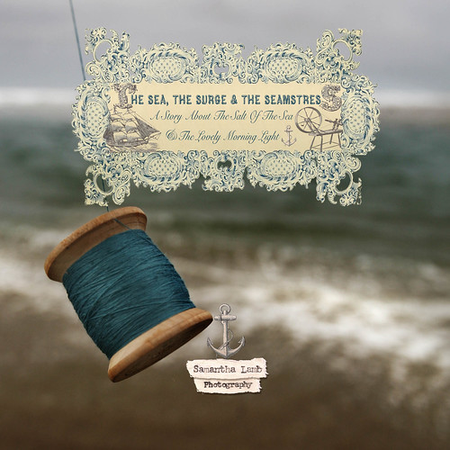 The Sea, The Surge & The Seamstress cover of  book