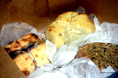 Box of Knishes from Schimmel's