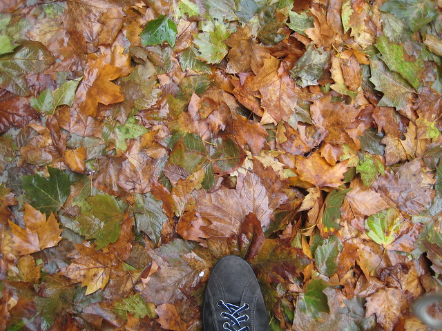 Un pie en el otoño