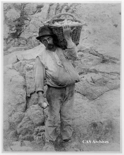 "Scottie 'the Egger', South Farallon Islands, July '96." Man holding basket on his shoulder.