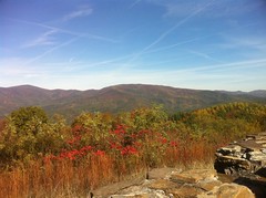  View from Cohutta Overlook 