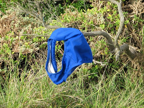 Speedos on a branch..