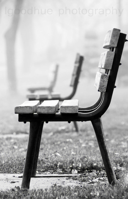 Fog and bench