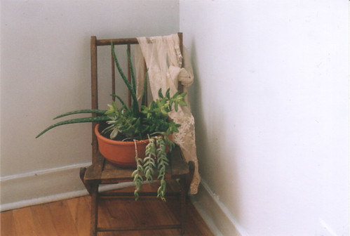 chair and plants
