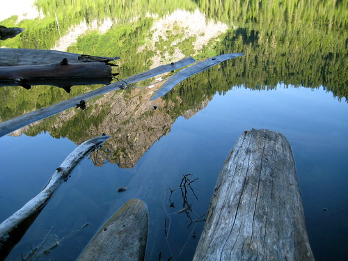 Reflection and Driftwood in Eagle Lake