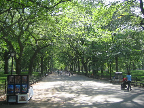 Central Park _ 7295