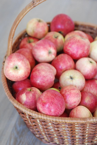 õunad/apples