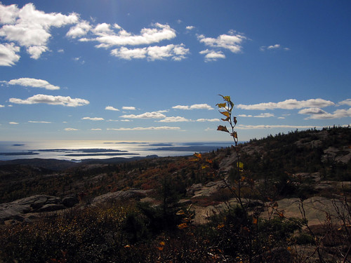 view from cadillac mountain