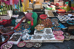 Jalgachi Seafood market 2