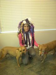 Rachels With Ribbon Hat & Naughty Doggies