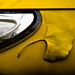 Yellow ginkgo leaf on yellow Ryder truck by the headlight