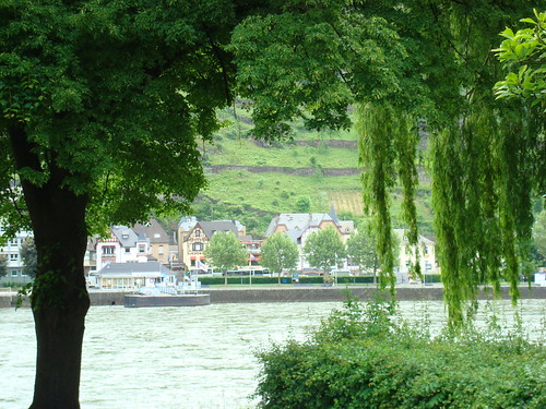 萊茵河景