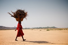 2010年5月印度一名婦女頭頂著木柴跨越過佛陀開悟所在地比哈爾邦的乾涸河床(JC Indie攝)