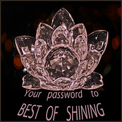 Invite Best of Shining