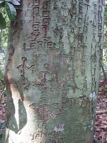 grafitti_tree