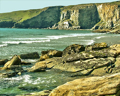 Devon Coast
