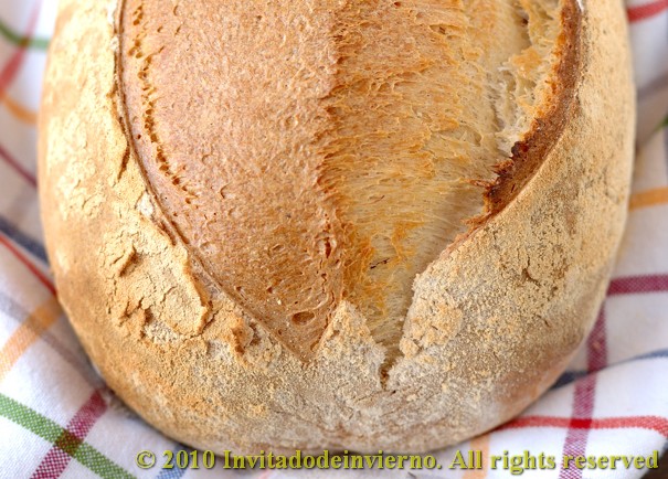 Vichy bread 2