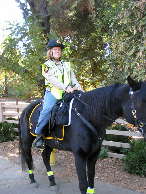 Sheriff on horseback