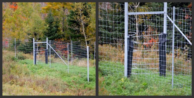 Moose Fence collage