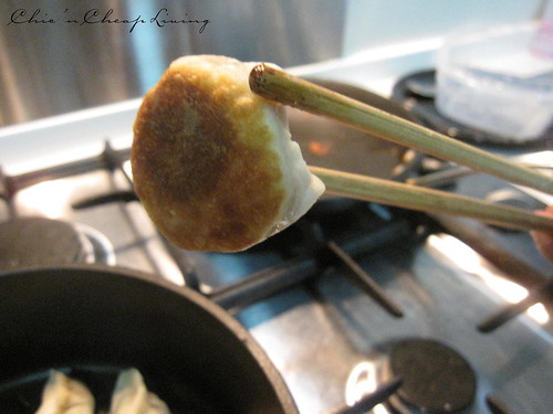 Chinese style pork dumplings recipe