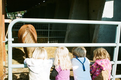 Kids_Horse