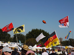 The plethora of flags // ACL 2010 