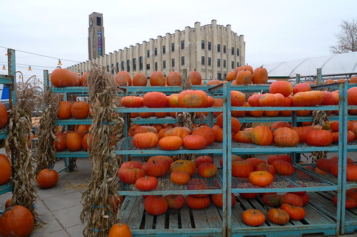 the pumpkins of atwater market