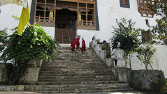 Bhutan-1667