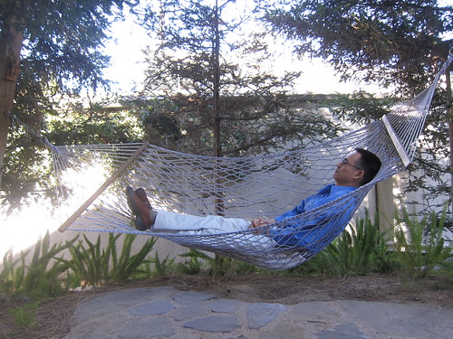 old vine hammock
