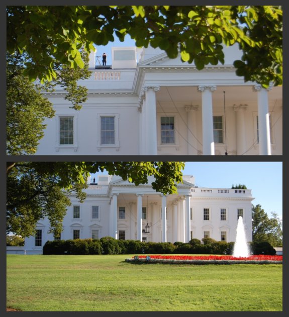 White House Collage