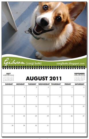 2011 Corgis (with blogs) Calendar