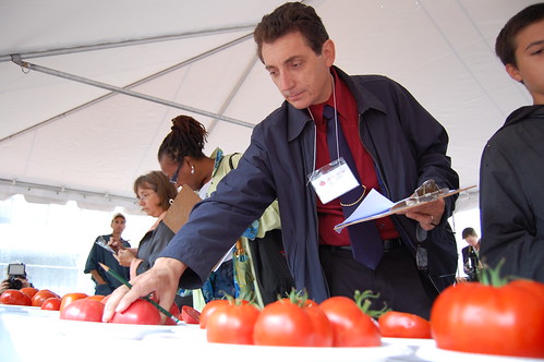 FNS Regional Administrator James Arena-DeRosa judges tomatoes at Tomato Festival in Boston