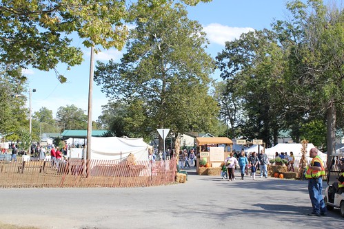 Entrance to Pioneer Festival