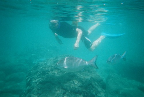 Snorkling at Shark's Cove, Oahu, Hawaii