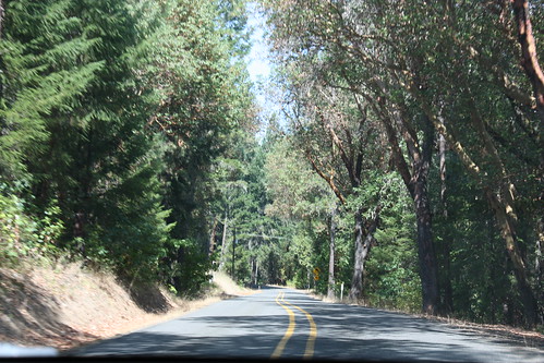 The drive up to the Oregon Vortex. It was pretty isolated, and to paraphrase Rand: If we hear banjos, were leaving.