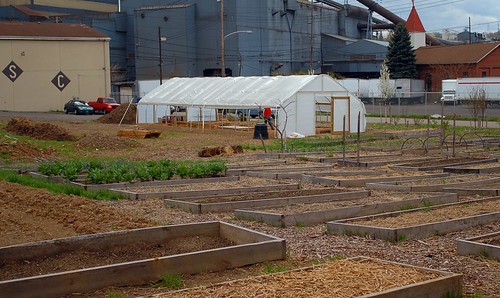 Braddock's urban farm (detail from photo by: Ryan Thompson, creative commons license)