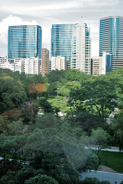 View from my hotel room, overlooking Kowloon Park