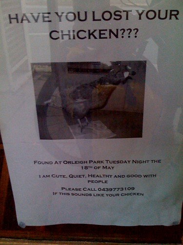 Lost your chicken?