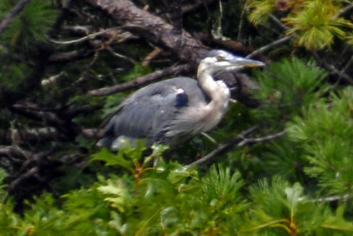 GBH Monks cove 3