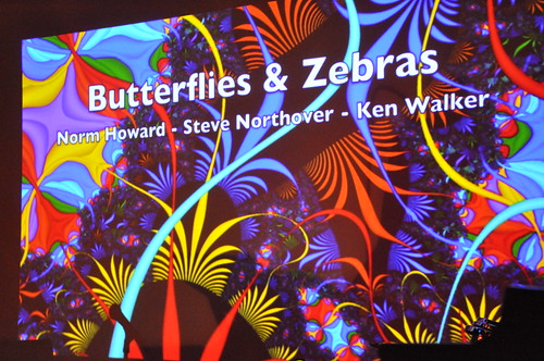 Butterflies & Zebras at Club SAW