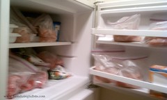 the fridge after grocery shopping