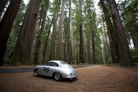 2009_California_Melee_Redwoods_1958_Porsche_356A