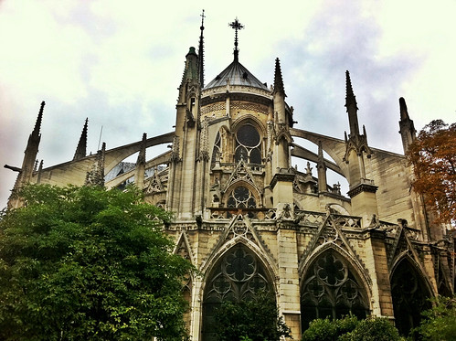 Notre Dame back